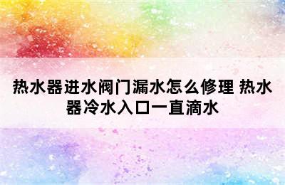 热水器进水阀门漏水怎么修理 热水器冷水入口一直滴水